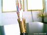 DJYPV计算机电缆|DJYPV计算机屏蔽电缆