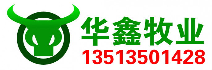 重庆哪里有鲁西黄牛优惠