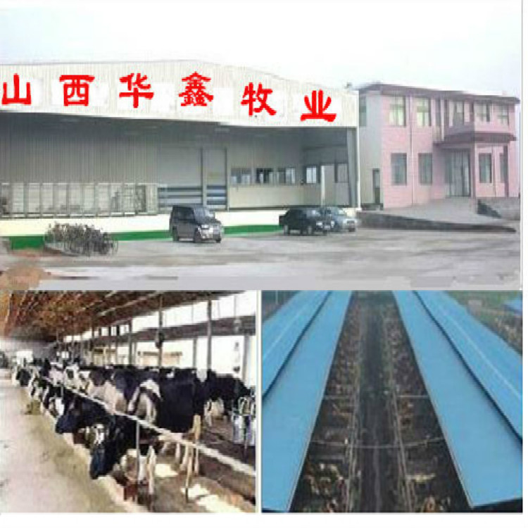 江苏镇江哪里有肉牛养殖场价格