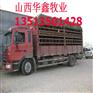江苏镇江哪里有肉牛养殖场价格