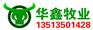 四川直销牛犊批发