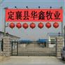 浙江宁波直销小牛崽批发