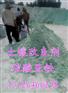 临潼水处理专用硫酸亚铁生产厂家尽在郑州荣茂