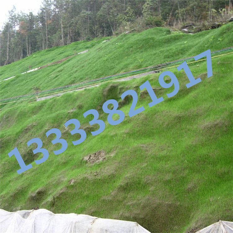 客土喷播机工作原理，护坡绿化客土喷播机，大流量草籽种植机