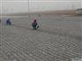 供应甘肃高质量的土工格栅|甘肃单向土工格栅