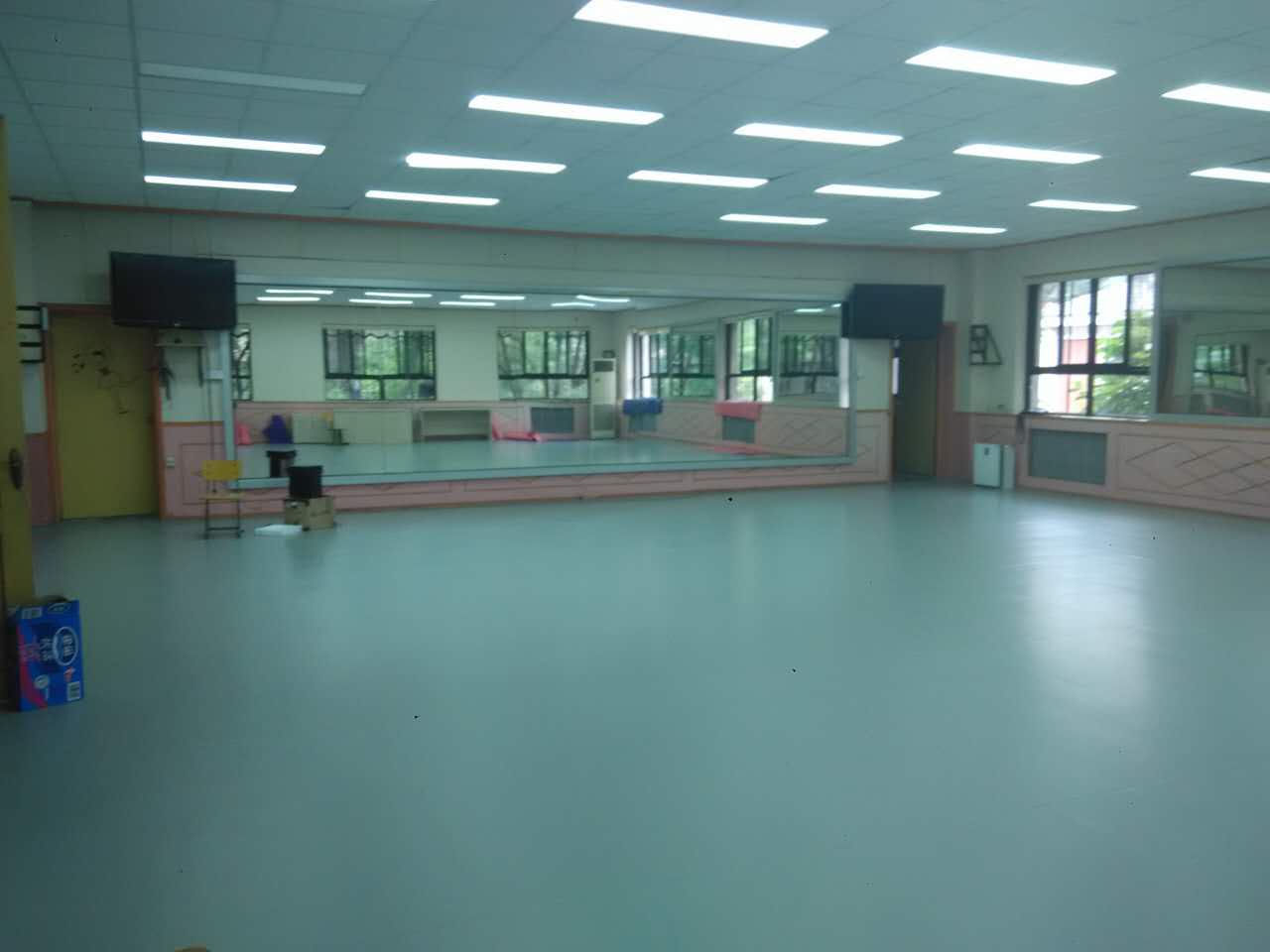 芭蕾舞蹈地胶,舞蹈地胶板,儿童舞蹈地胶 芭蕾进口地胶 PVC地胶板 儿童防滑地胶