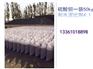 云浮\老式铅门（更换新铅门）防辐射铅门生产改造