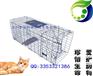 Catch cage 折叠笼子批发 Cat cage猫笼狗笼