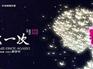 西安歌舞剧讯息 陕西资深的西安舞台剧演出【诚荐】
