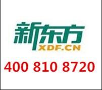 一对一教育电话多少/太原新东方教育一对一辅导班好