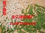 厂家直销全自动面疙瘩、仿手工搓鱼子机，剪刀鱼鱼机器