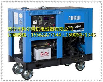 TDL20000TE，东洋发电机