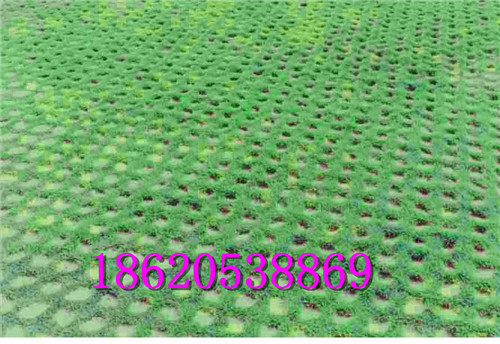 惠州植草格现货,惠阳植草格,惠城区植草格本地公司 惠城植草格