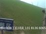 环保生态毯厂家，边坡绿化植被毯，抗冲生态毯