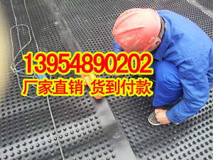 贺州楼顶花园塑料排水保护板