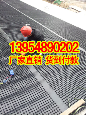 辽宁车库底板防水排水板