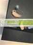 广州越秀区天语王 BTE 100助听器那里买便宜