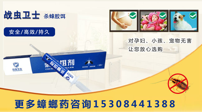 怎么彻底灭蟑螂 深圳最的蟑螂药厂  深圳蟑螂药  连环杀蟑螂药