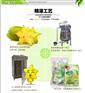物超所值的杨桃干 信誉好的杨桃干批发市场推荐