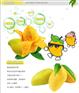 龙海芒果干——去哪找声誉好的芒果干供货商