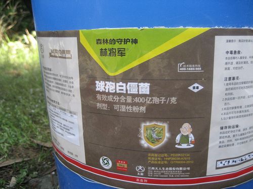 供應湖北白僵菌