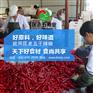 剁椒鱼头专用干辣椒 正宗湘菜用正宗辣椒 -匡老五辣业