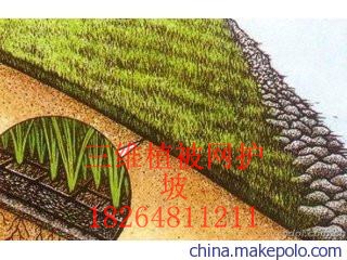 孝感三维植被网护坡（作用）—欢迎光临