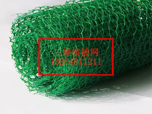 朔州三维植被网_【厂家】_欢迎光临