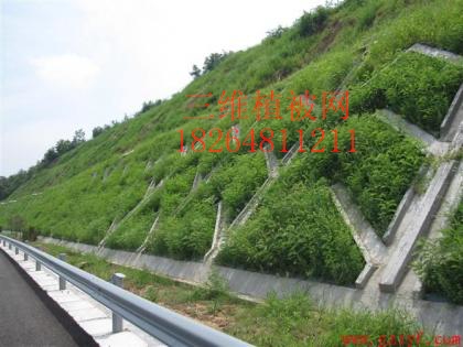 平顶山三维植被网[东诺生产基地]——欢迎您的莅临。。。