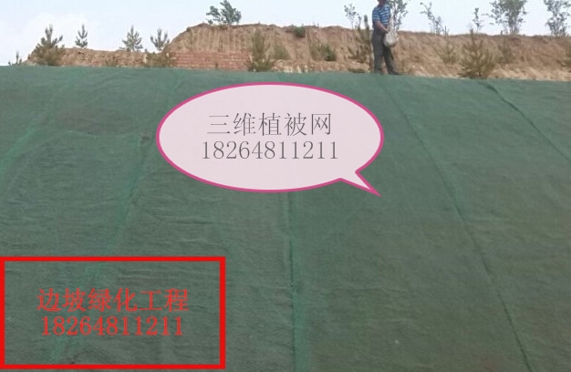 孝感三维植被网护坡（作用）—欢迎光临