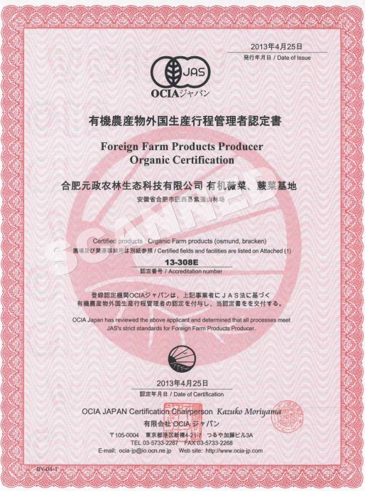 食用菌供应 食用菌供应商 元政农林