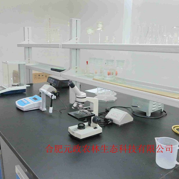 食用菌供应 食用菌供应商 元政农林