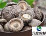 元政农林|干香菇批发厂家|香菇报关流程
