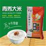 盘锦大米专供|盘锦便宜的盘锦大米批售