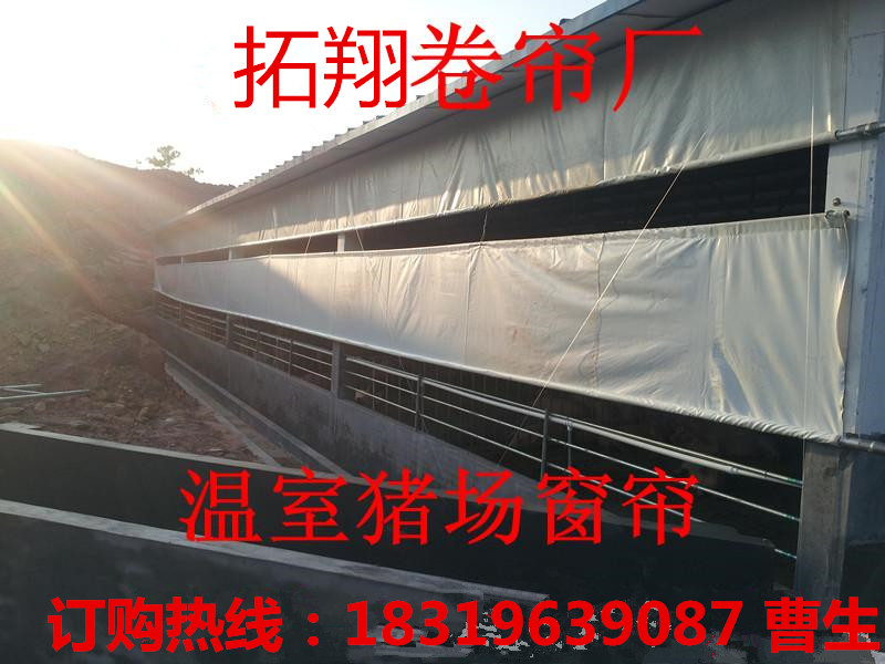 湖北黄石卷帘厂推出加厚猪场卷帘布、耐拉养殖场卷帘布