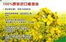武汉进口芥花籽油备案清关代理