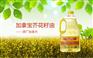 广州进口加拿大菜籽油要怎么进口