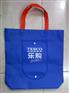 南京订做环保型购物袋 南京图片冰包