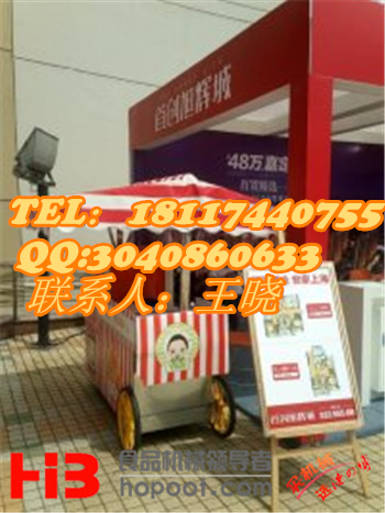 电动冰淇淋车_上海电动冰淇淋车价格