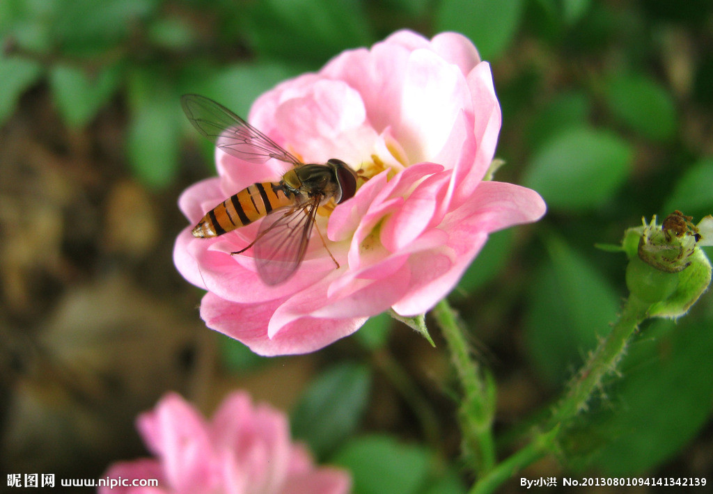常州市金之友企业管理咨询有限公司