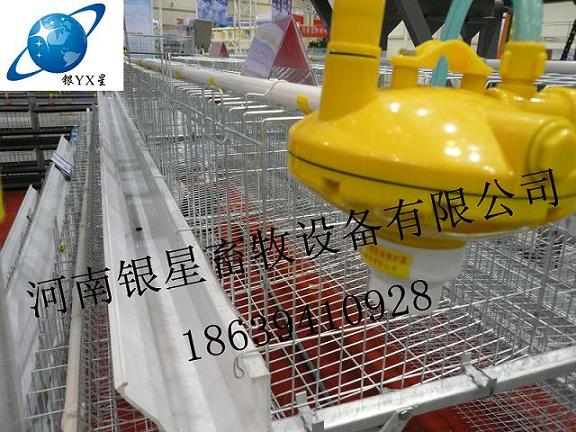周口鸡用蛋鸡笼公司电话|河南专业蛋鸡笼地址【河南银星】
