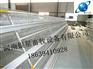 河南新型蛋鸡笼团购|河南高品质蛋鸡笼批发价格【河南银星】