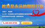 山东泰安泰安小学辅导班哪家好