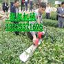最佳配置修剪机?  割灌机修枝机  新款双面绿篱机