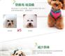 扬州贵宾幼犬狗粮供应