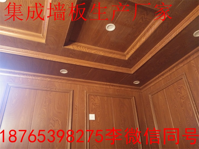 孙吴集成墙面装修效果图片厂家直销