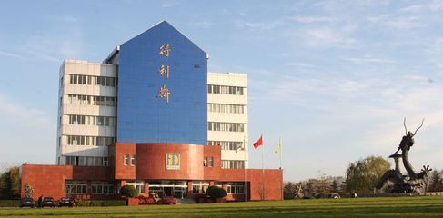 得利斯集团有限公司