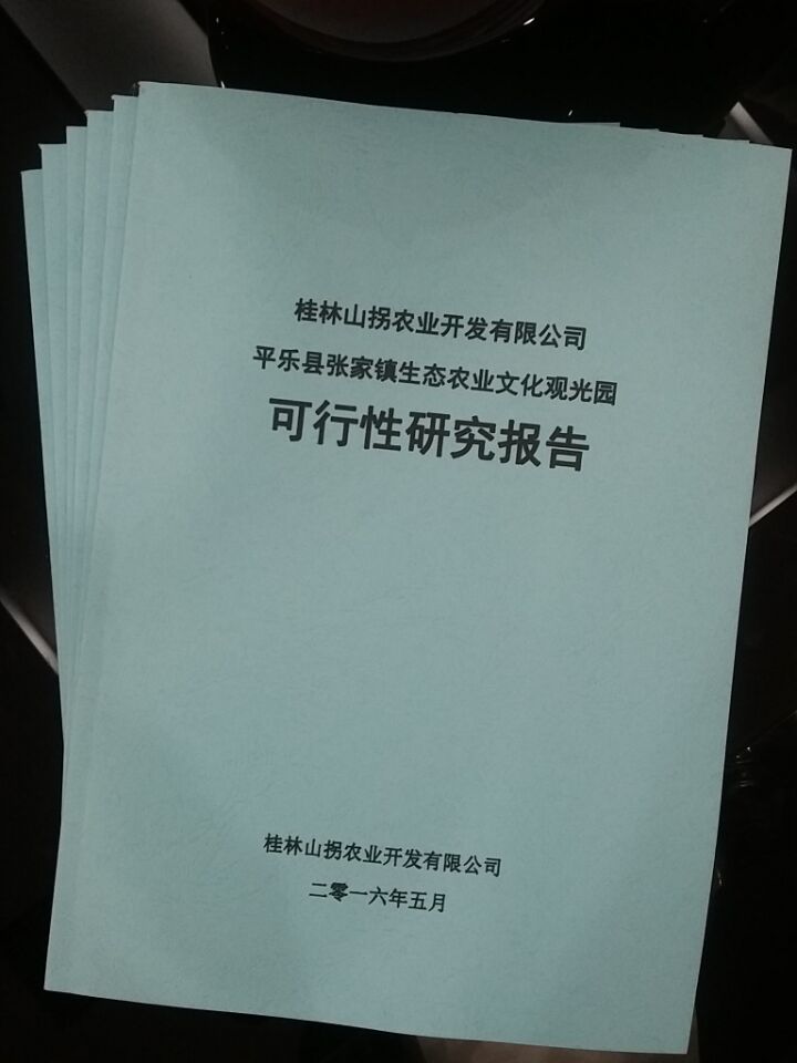 公司 节能评估报告黑龙江双鸭山专业公司