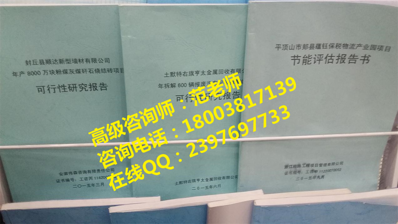 元阳可行性研究报告标书