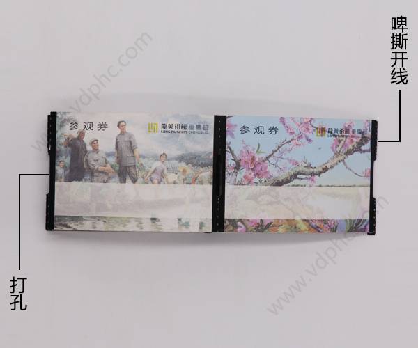 游泳馆门票印刷_广元游乐场入场券门票印刷_门票印刷一张多少钱  门票印刷多少钱